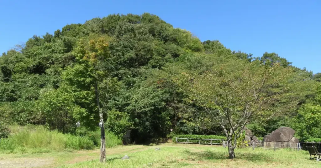 鷺山城跡は、戦国時代に美濃国の重要な拠点として利用された城跡です。斎藤道三ゆかりの城として知られ、現在は歴史を伝える公園として親しまれています。